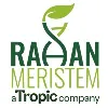 Rahan Meristem