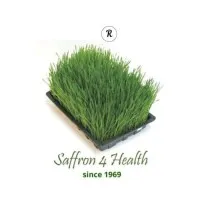 Saffron4Health Pvt. Ltd.