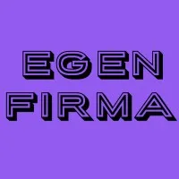 Egen firma