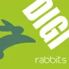 DIGIrabbits Consulting Pvt Ltd DIGIrabbits Consulting Pvt Ltd