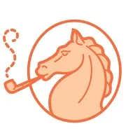 Bird Brain Bird Brain