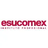 Instituto Profesional Esucomex Instituto Profesional Esucomex