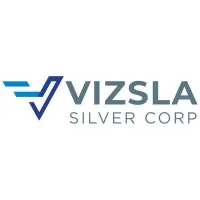 Vizsla Silver Vizsla Silver