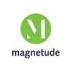 Magnetude Consulting Magnetude Consulting