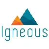 Igneous (acquired by Rubrik) Igneous (acquired by Rubrik)
