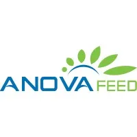 ANOVA FEED