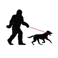 Bigfoot Veterinary Clinic