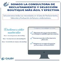 Calev Consulting - Executive Search and Talent Strategy