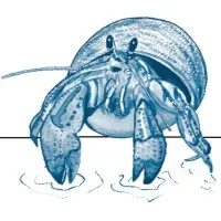 BlueShore Engineering LLC