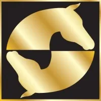 Palm Beach Equine Clinic