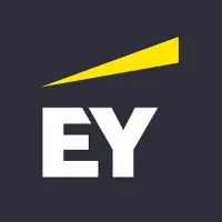 EY Technology Solutions