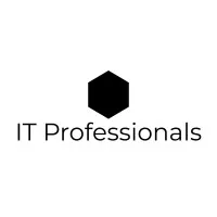 IT Professionals