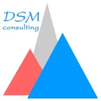 DSM-consulting