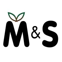 M&S Group of Companies Overview | SignalHire Company Profile