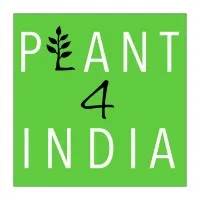 Plant 4 India
