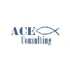 ACE Consulting Company, Inc. ACE Consulting Company, Inc.