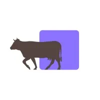 FoodTech Nation