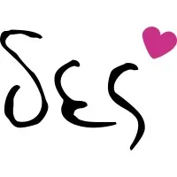 Interactive European School (DES School)