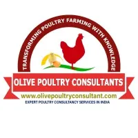 Olive Poultry Consultant
