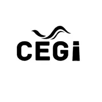 Comité des Étudiants en Génie Industriel