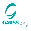 Gauss International Consulting