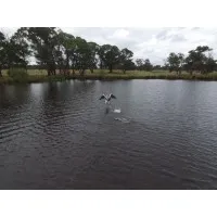 Private Consulting Company