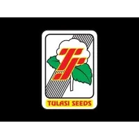 Tulasi Seeds Pvt Ltd Tulasi Seeds Pvt Ltd