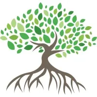 Mangrove Networks Mangrove Networks