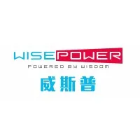 WISEPOWER ENTERPRISE INDIA PRIVATE LTD. 