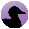 Black Duck Black Duck