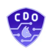 Cyber Defense Organization