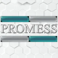 Promess Promess
