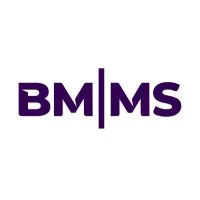 BMMS Partners, PLLC