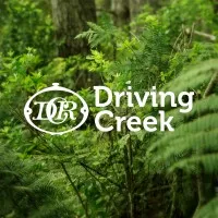 Driving Creek