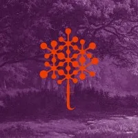 Tree Comunicação