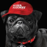Mesh & Masonry