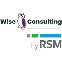 Wise Consulting Associates, LLC
