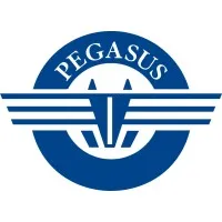 Pegasus Shipping, Inc. & Pegasus Maritime, Inc. 