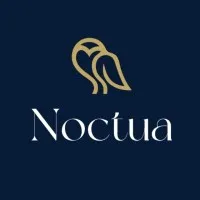 Noctua Strategies