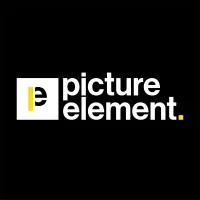 PICTURE ELEMENT