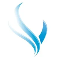 Saffire Companies