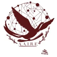 TheAAIRE