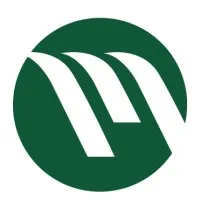 Meli Corporation Meli Corporation