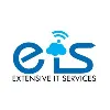 Extensive IT Services Extensive IT Services