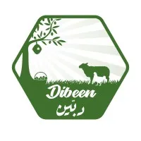 Dibeen.com