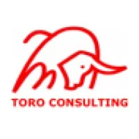 Toro Consulting Toro Consulting