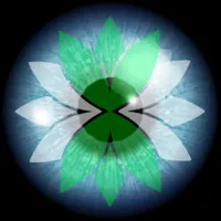 Collective Social Intelligence Collective Social Intelligence