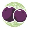 Deep Purpl - Acai Bowls Deep Purpl - Acai Bowls
