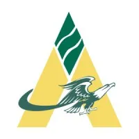 Arlington Financial Arlington Financial