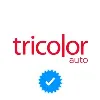Tricolor Auto Group, LLC Tricolor Auto Group, LLC